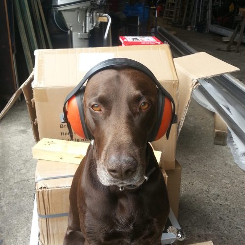 Bordhund Seemann